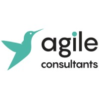 Agile Consultants