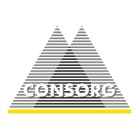 CONSORG